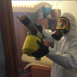 Уничтожение клопов в квартире. Билибино